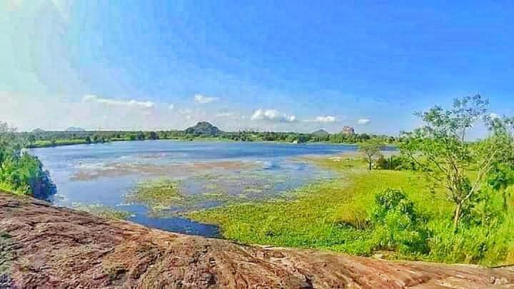 Sigiri Lake Paradise Sigiriya Ngoại thất bức ảnh
