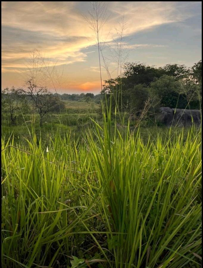 Sigiri Lake Paradise Sigiriya Ngoại thất bức ảnh